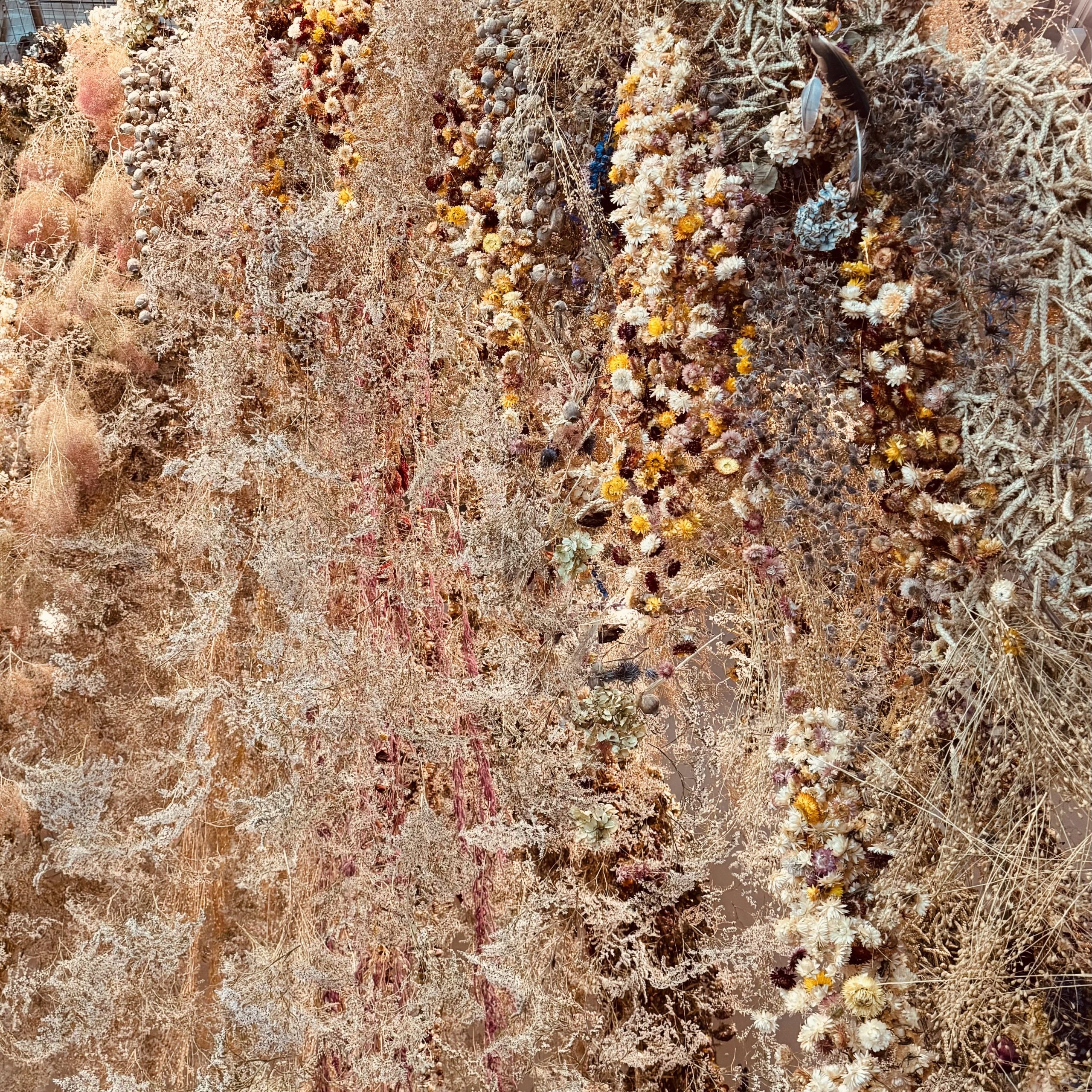 Flowers – Flora in Contemporary Art and Culture Review